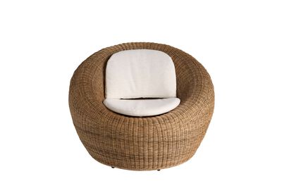 Sea Pod Swivel Chair