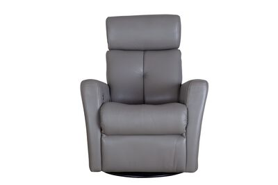 Prodigy Dual Motion Swivel Glider