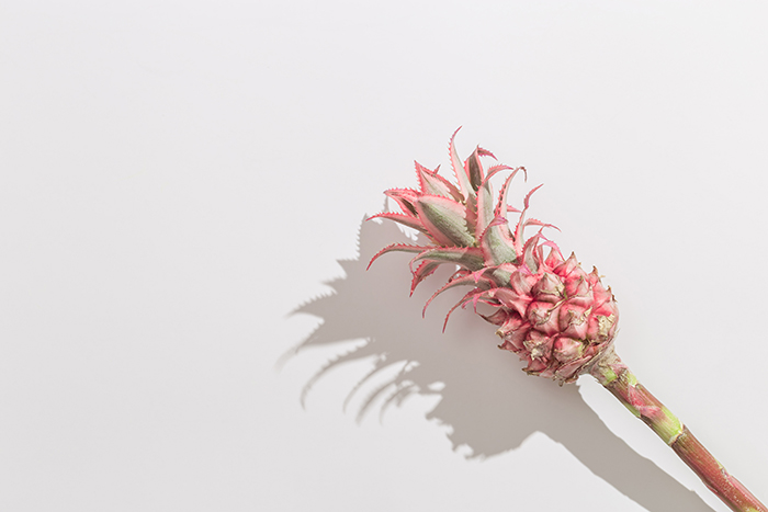 mini pineapple