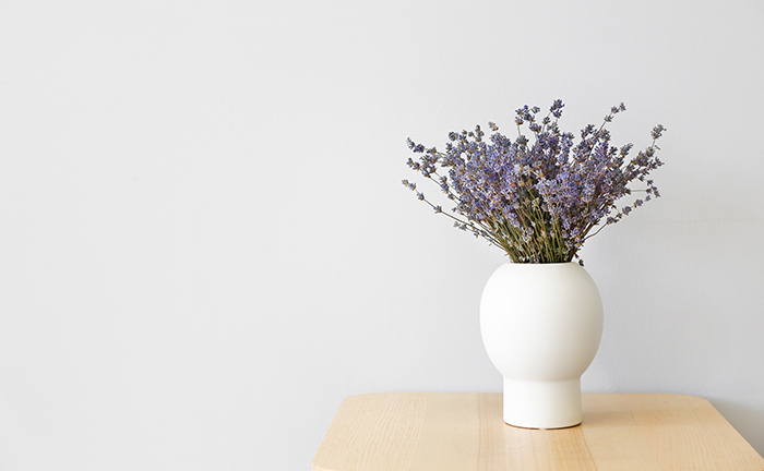 Lavendar